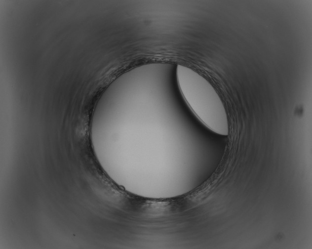 X0000091670665200708231015
