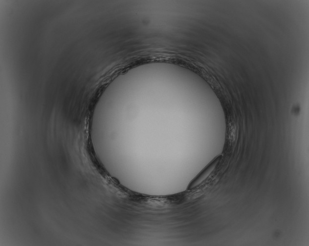 X0000091670666200708231015