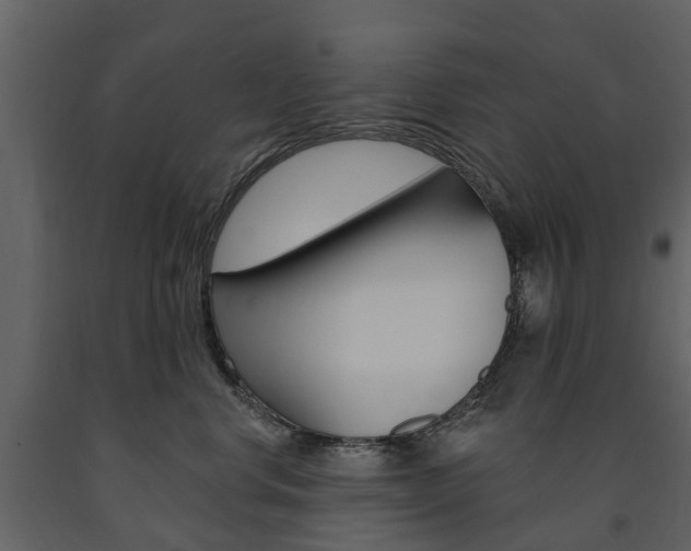 X0000091670668200708231015