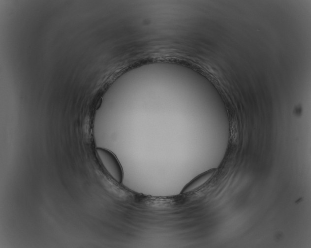 X0000091670670200708231015