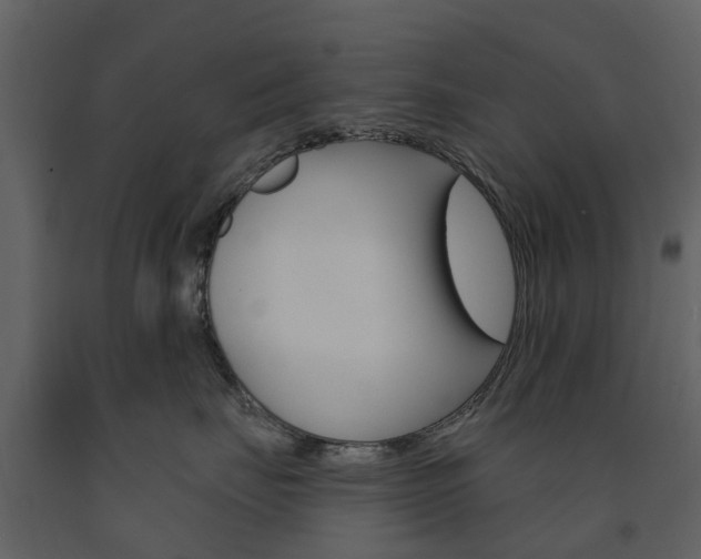 X0000091670671200708231015