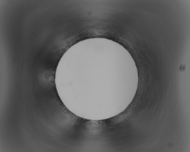 X0000091670672200708231015