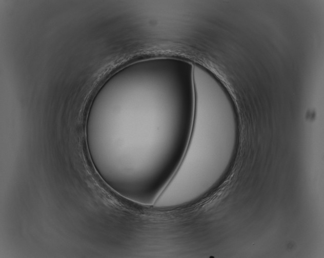 X0000091670673200708231014