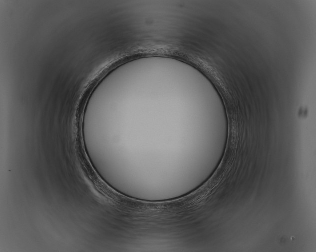 X0000091670674200708231014