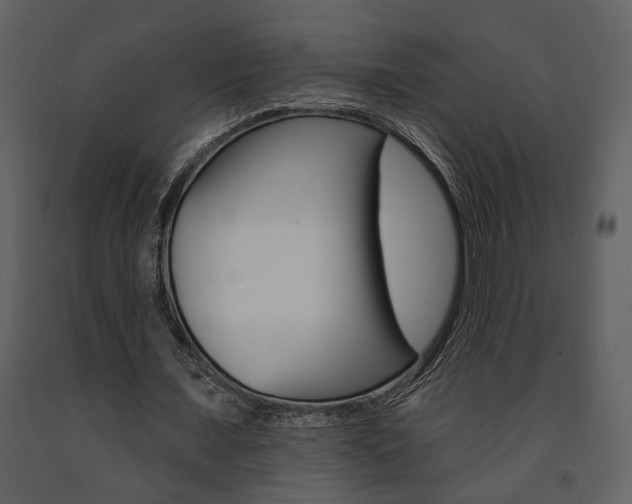 X0000091670675200708231014