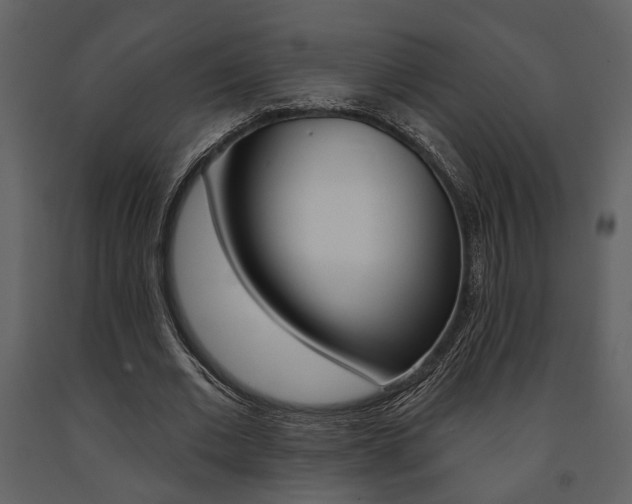X0000091670677200708231014