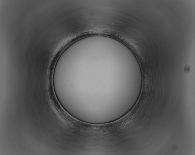 X0000091670678200708231014