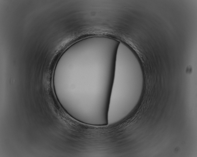 X0000091670679200708231014