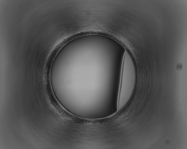 X0000091670680200708231014