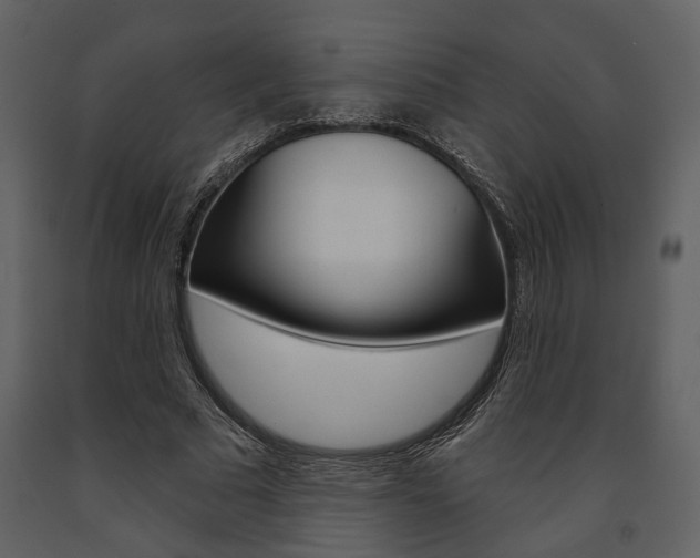X0000091670681200708231014