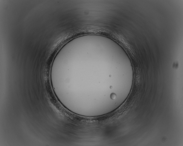X0000091670683200708231014