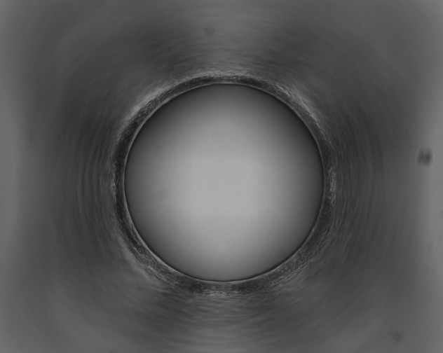 X0000091670684200708231014