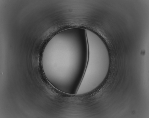 X0000091670685200708231014