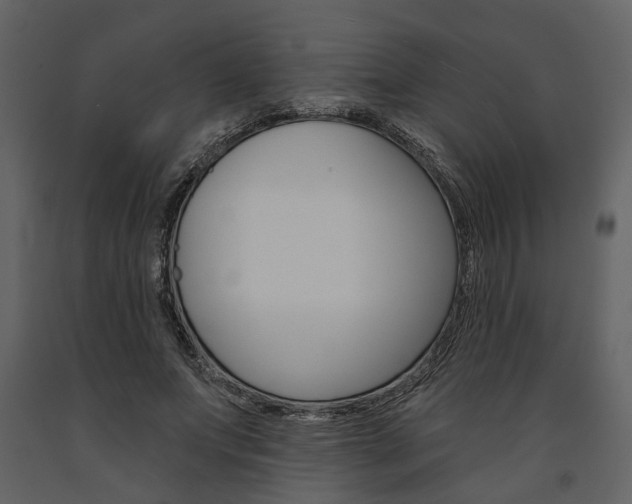 X0000091670687200708231014