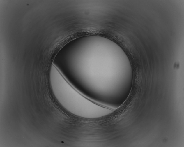 X0000091670689200708231014