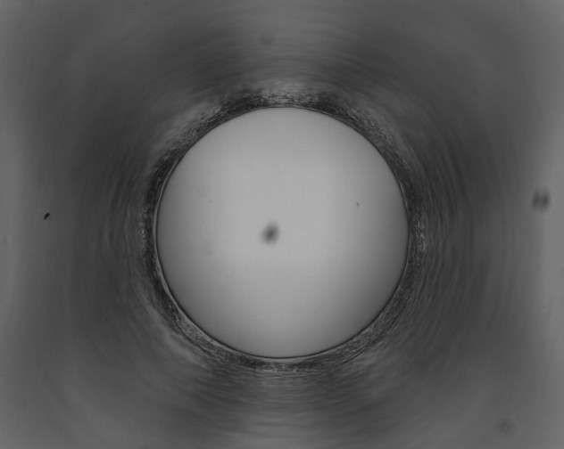 X0000091670690200708231014