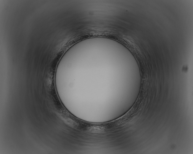 X0000091670691200708231014