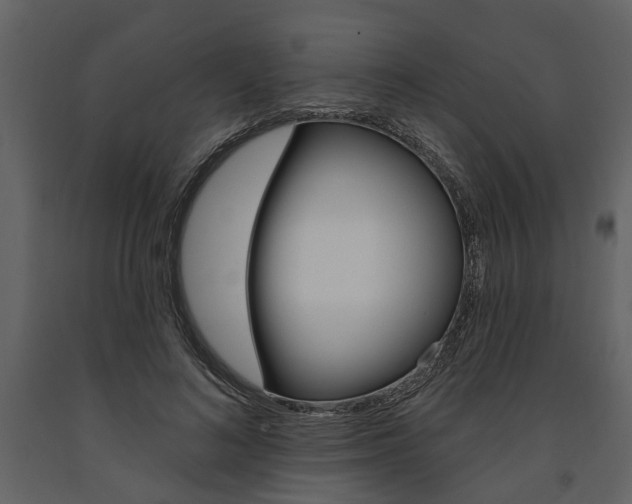 X0000091670692200708231014
