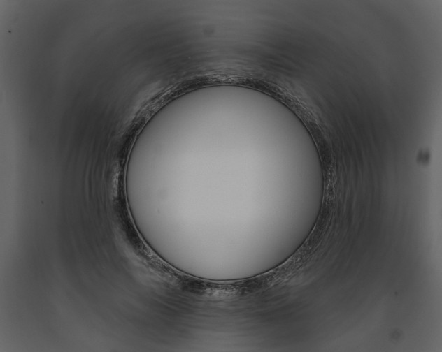 X0000091670694200708231014