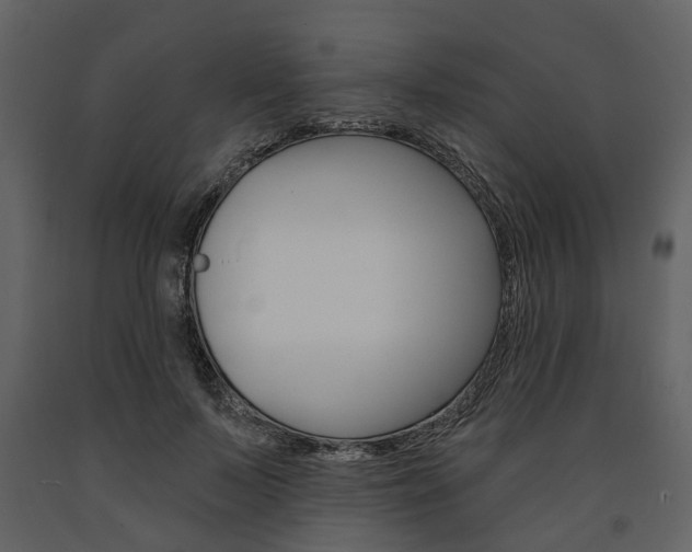 X0000091670695200708231014