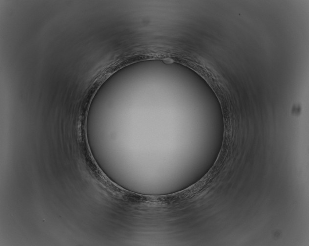 X0000091670696200708231014