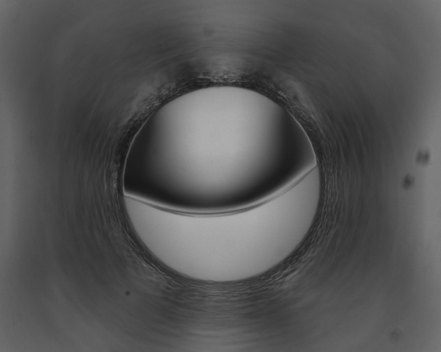 X0000091670697200708231014