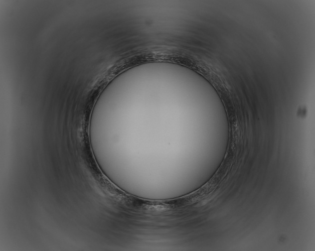X0000091670698200708231014