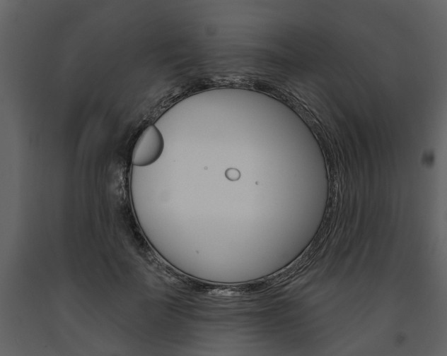 X0000091670699200708231014