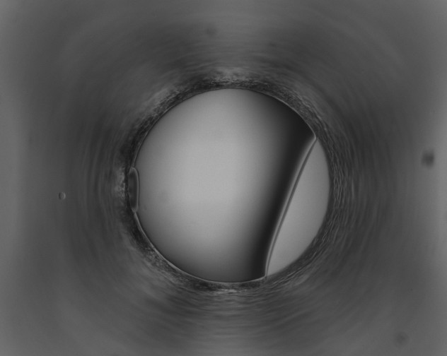 X0000091670700200708231014