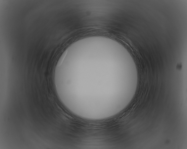 X0000091670701200708231013