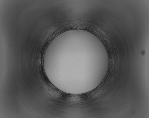 X0000091670702200708231013