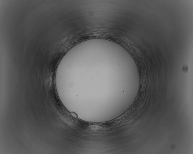 X0000091670703200708231013