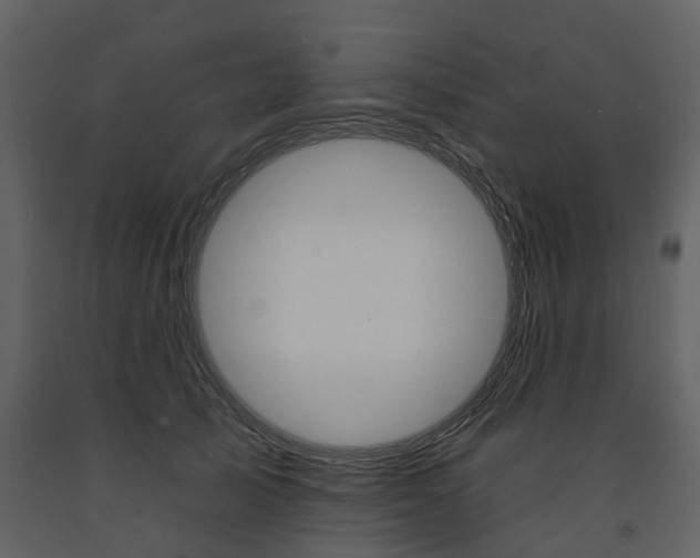 X0000091670705200708231013