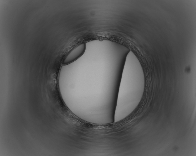 X0000091670707200708231013