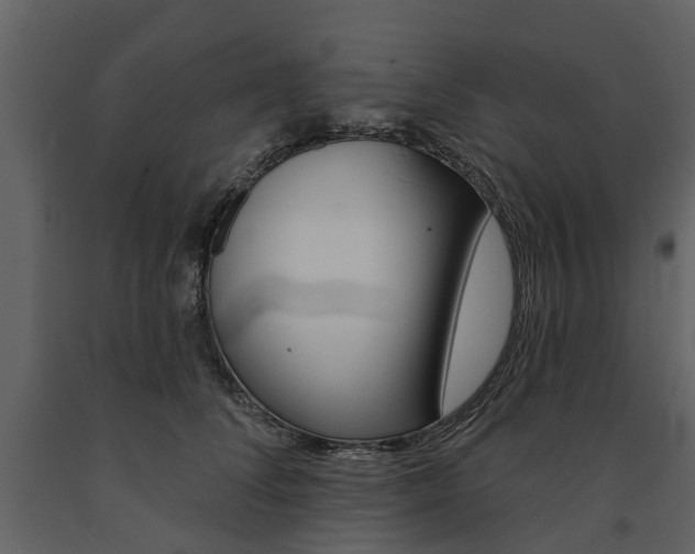 X0000091670708200708231013