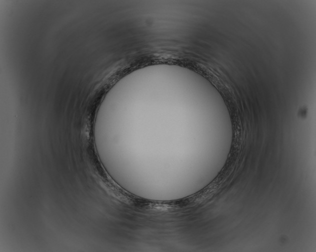X0000091670710200708231013