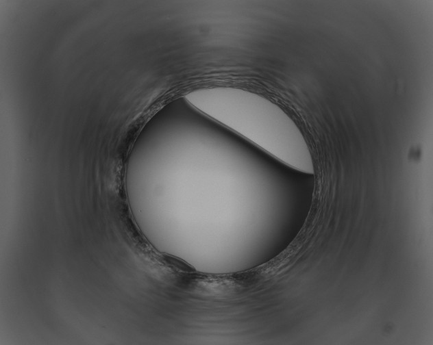 X0000091670712200708231013