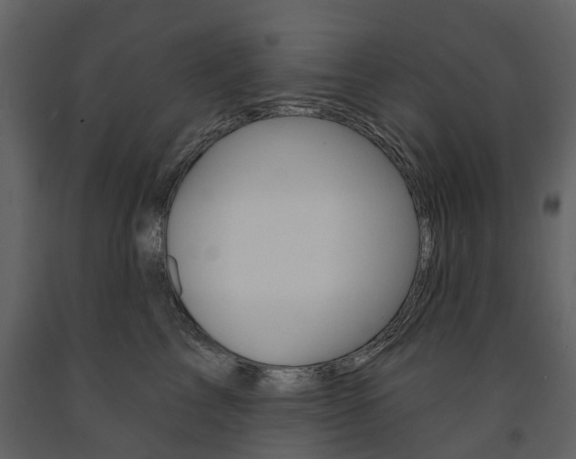 X0000091670713200708231013