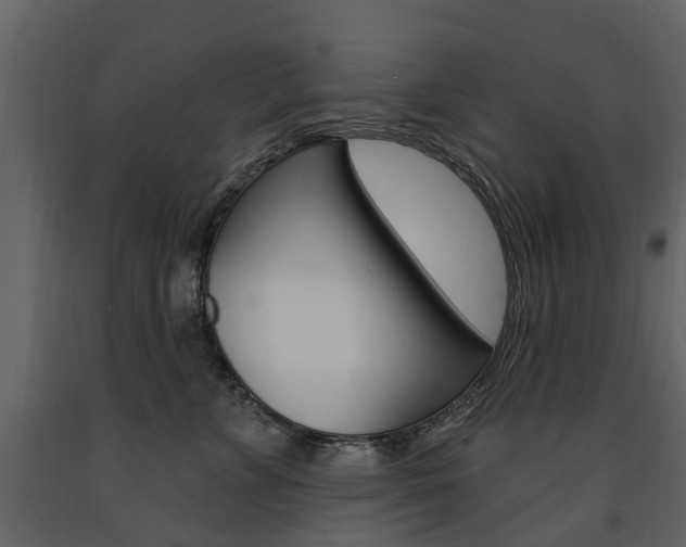 X0000091670715200708231013