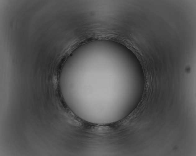X0000091670716200708231013