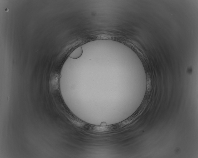X0000091670717200708231013