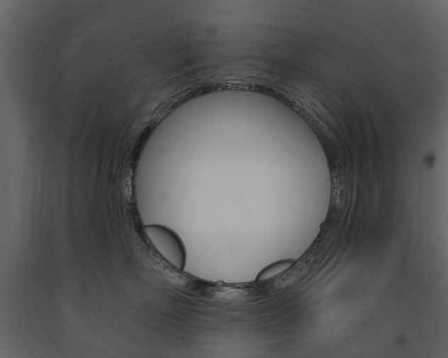 X0000091670718200708231013