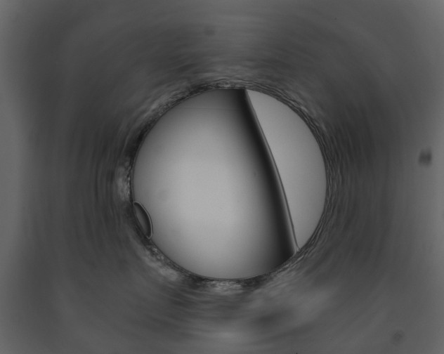 X0000091670719200708231013