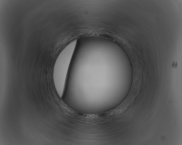 X0000091670720200708231013