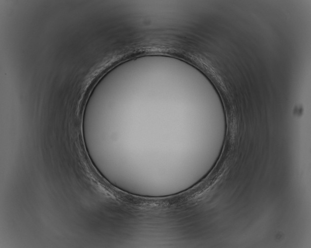 X0000091670721200708231012