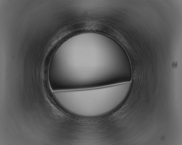 X0000091670722200708231012