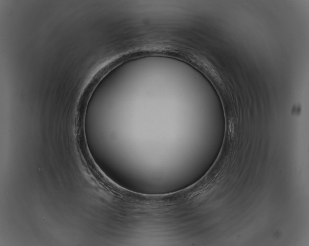 X0000091670724200708231012