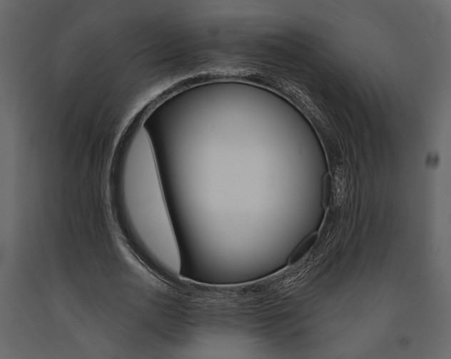 X0000091670726200708231012