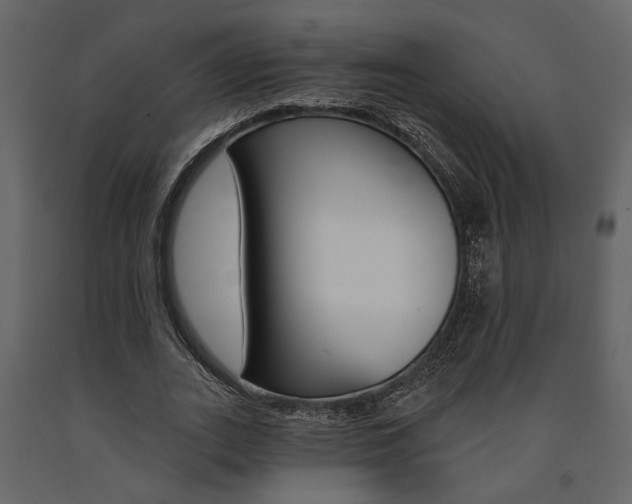 X0000091670727200708231012