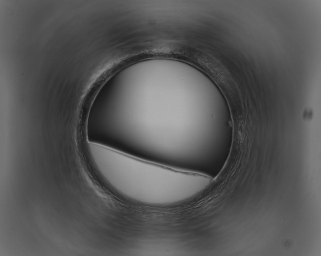 X0000091670728200708231012